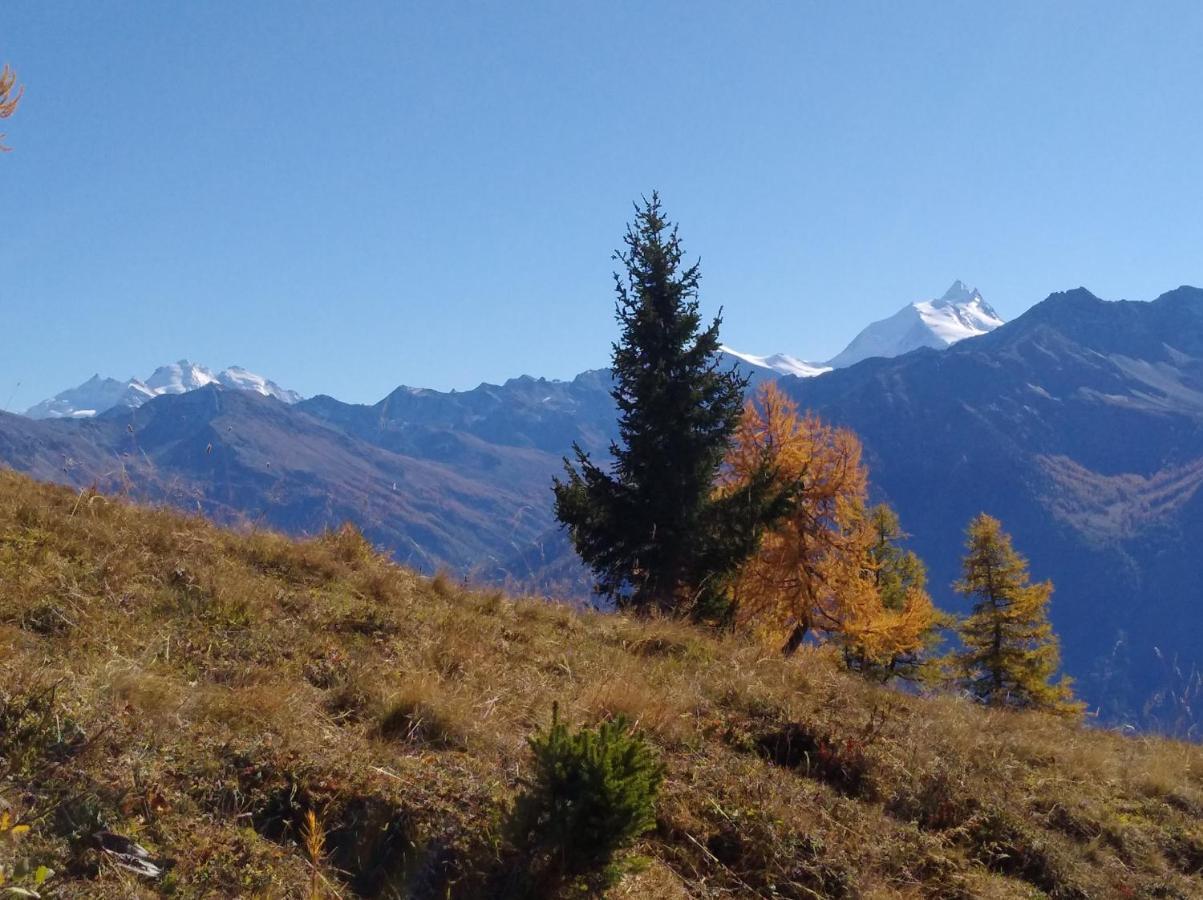 Chalet Waldrand Inden 外观 照片